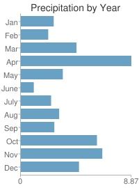 Precipitation by Year Chart (JPEG)
