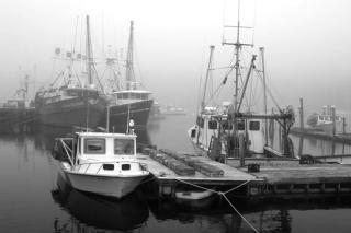 Damariscotta Boats