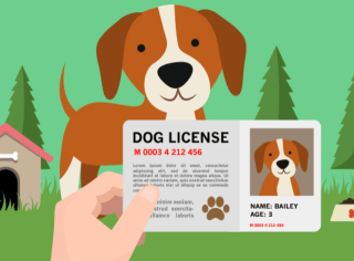dog w license